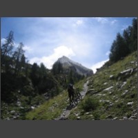 Monte vers le vallon des Pelouses